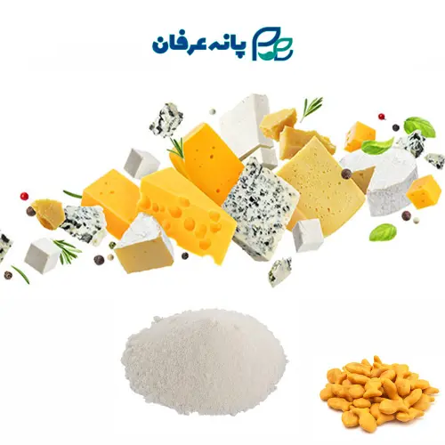 طعم دهنده پنیری